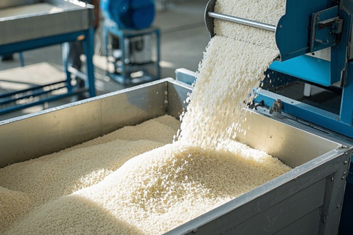 TECBELL: Empowering Southeast Asia's Grain Processing Industry with Innovative Technology